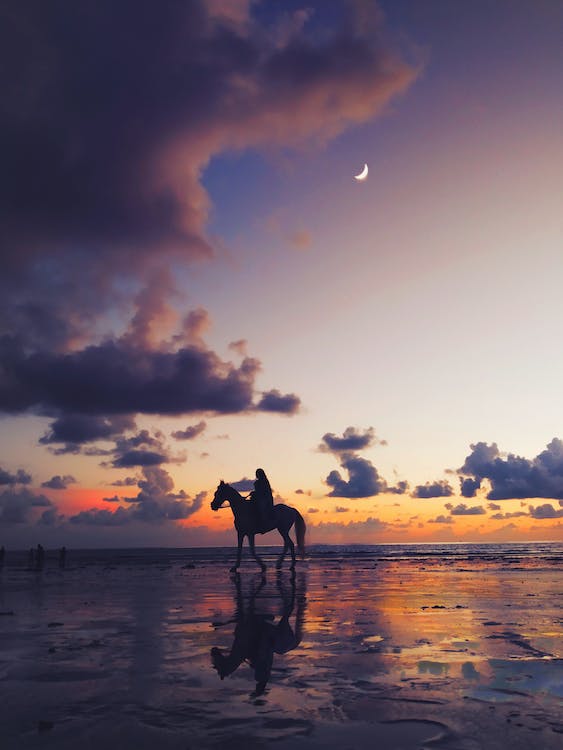 Paardrijden Texel