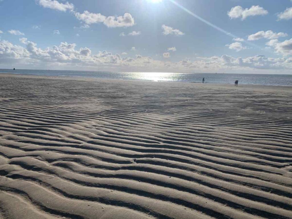 Wadlopen Texel