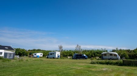 Camping Anemoone